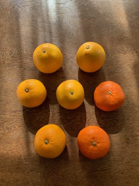 この画像には alt 属性が指定されておらず、ファイル名は IMG_6008-rotated.jpg です