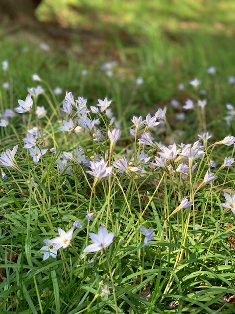 この画像には alt 属性が指定されておらず、ファイル名は IMG_6887.jpg です