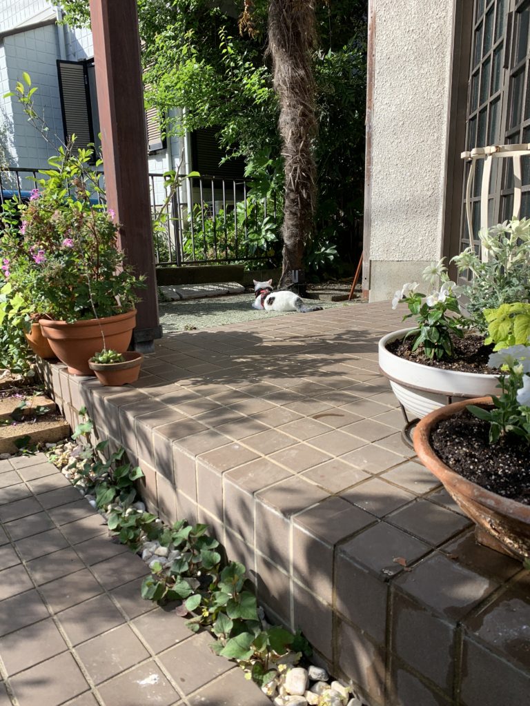 この画像には alt 属性が指定されておらず、ファイル名は 2020-05-24_15-59-04_111-768x1024.jpeg です