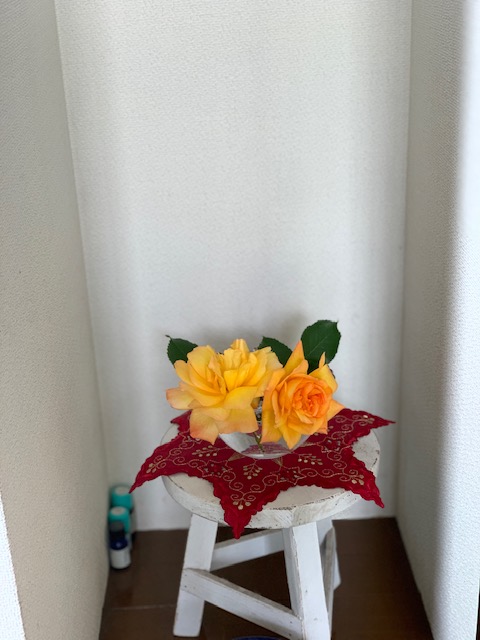 この画像には alt 属性が指定されておらず、ファイル名は IMG_7524.jpg です